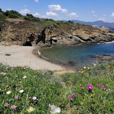 Casa Platja D'En Robert Villa El Port De La Selva Buitenkant foto